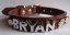 Personalised Dog Collar with Chrome Letters